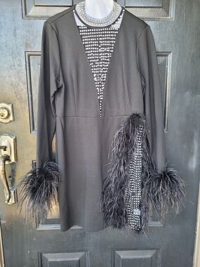 Fashion Nova Black Feather & Rhinestone Long Sleeve Dress